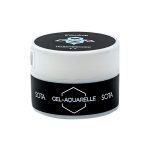 پینت ژل Snowdrop سوتا 5 گرم